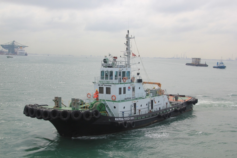 MARINA VIVO