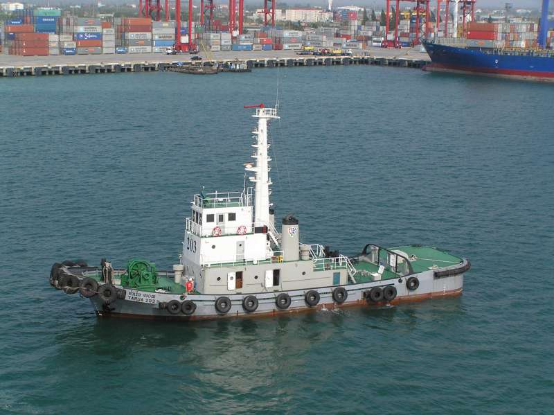 TARUA 203