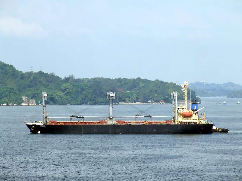 Rui Ji Star Dry Bulk Mini Bulkers 3