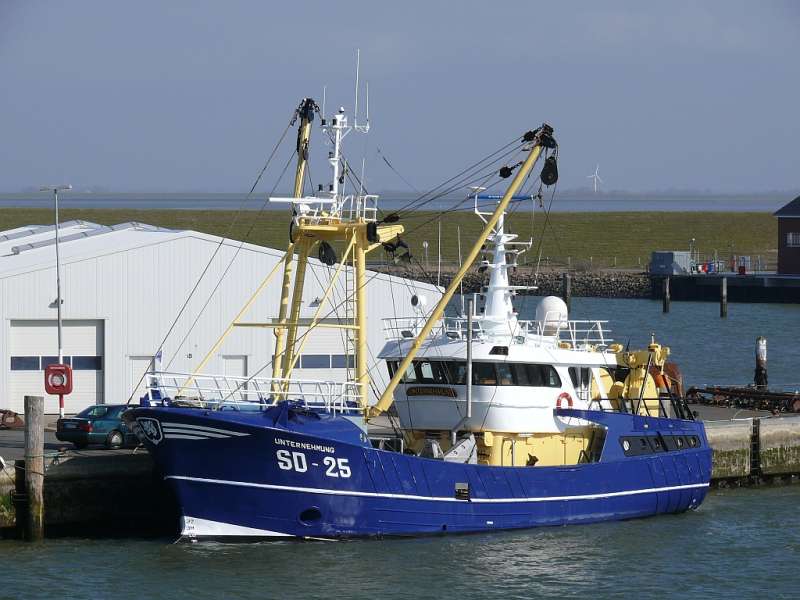 MARIA CHRIS NG-21