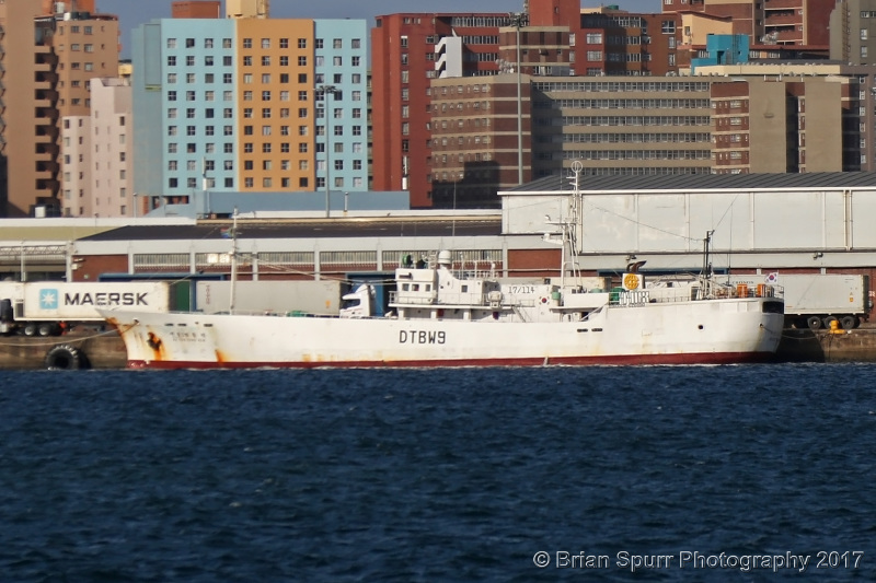 NO.638DONGWON