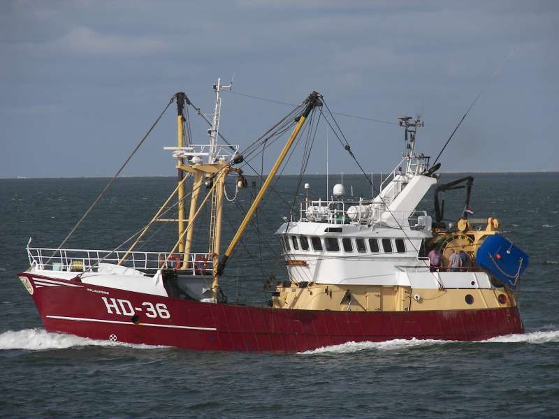 HD36 VOLHARDING