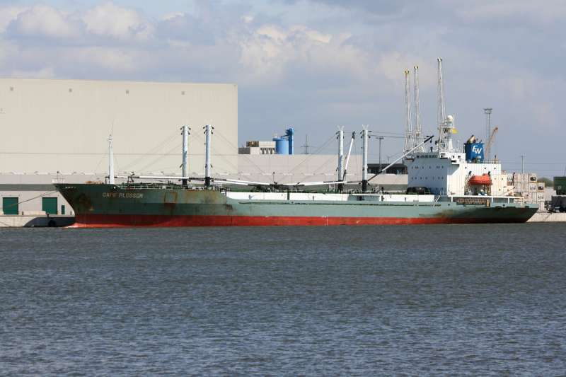 WEBO 307