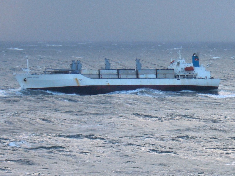 ZHONG XIE 8