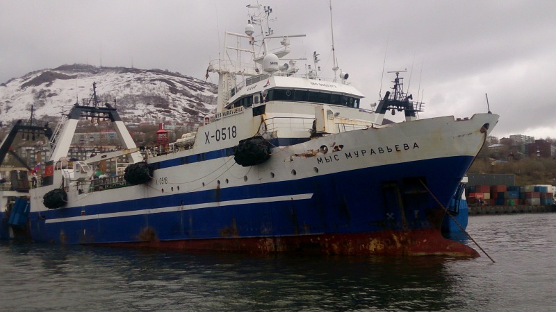MYS MURAVJEVA
