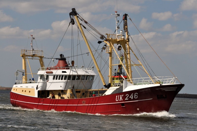 UK246 CONCORDIA