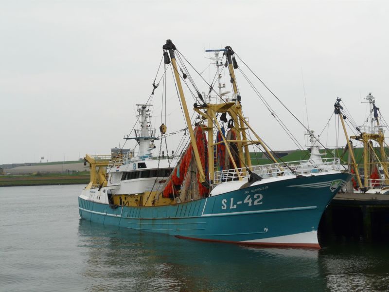 JAN CORNELIS 3 SL-42