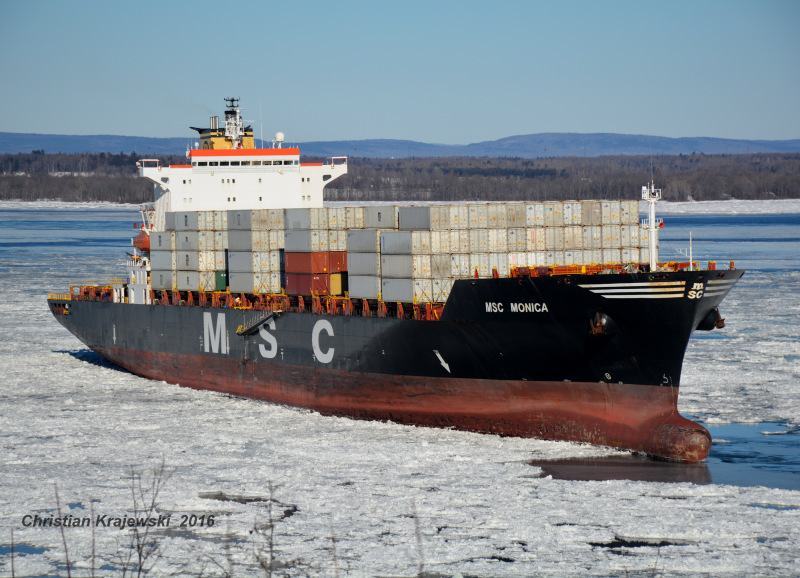 Image of MSC MONICA III