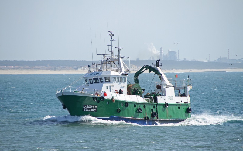 F/V VELLINO