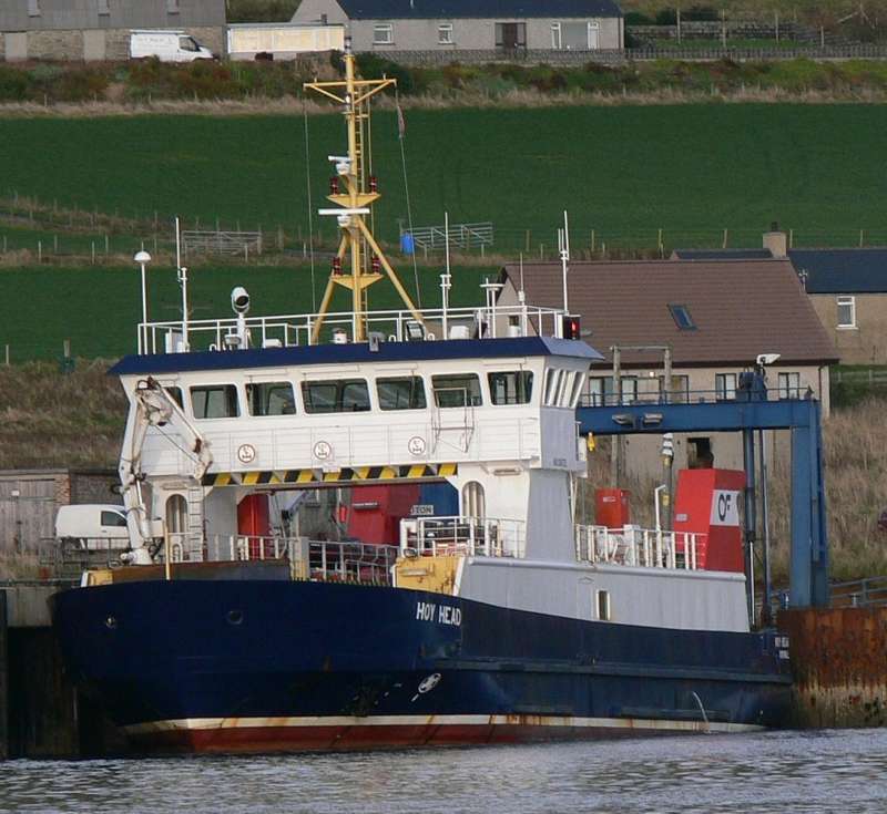 Image of HOY HEAD