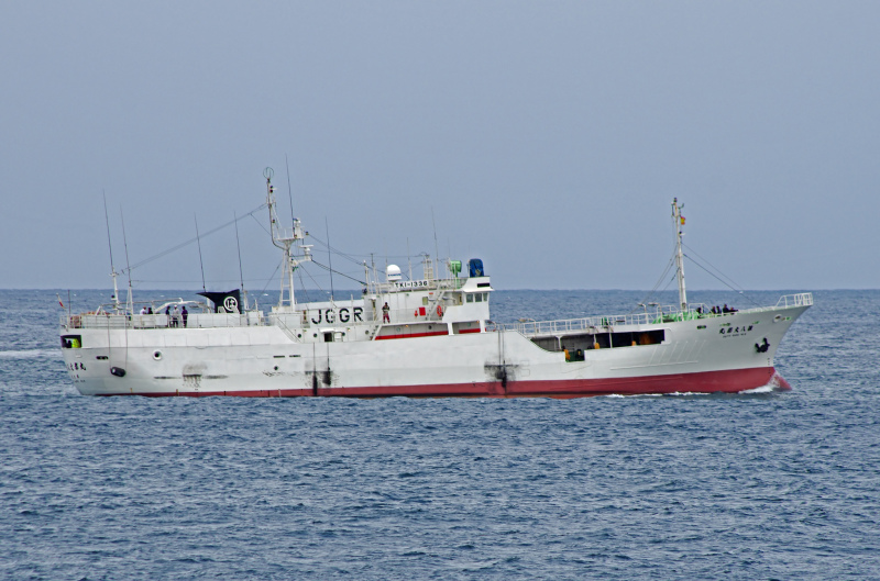 DAITO MARU NO 8