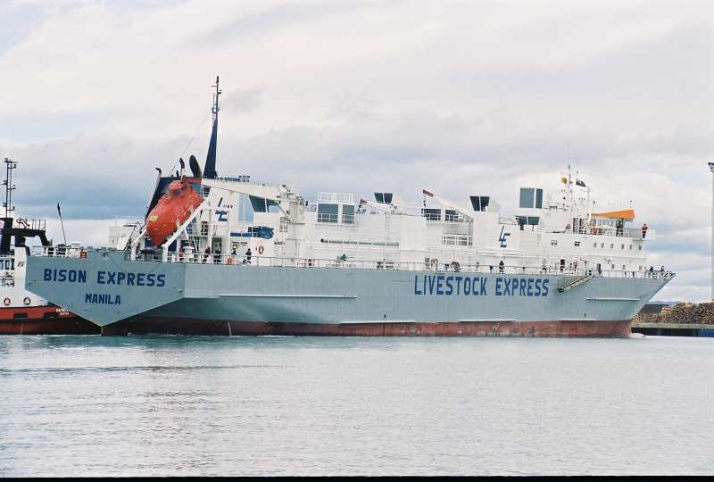 BISON EXPRESS