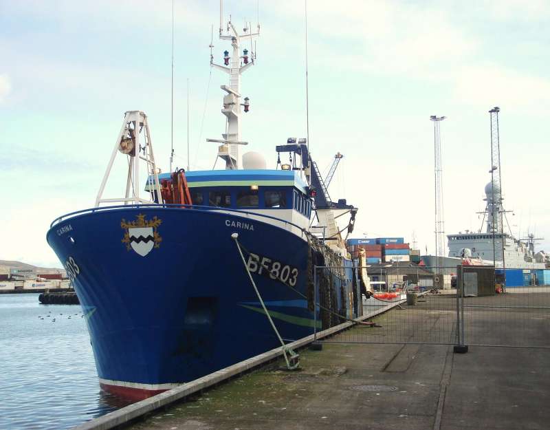 GV ARINA