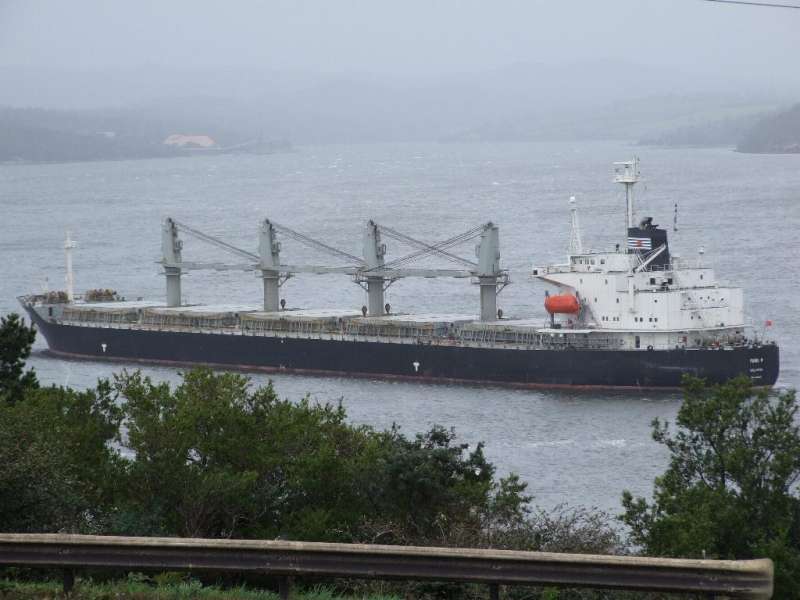 MV BASHUNDHARA-8