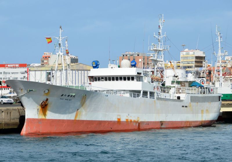 SHOEIMARU NO7