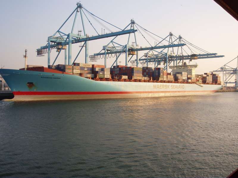 MSC DOMNA X