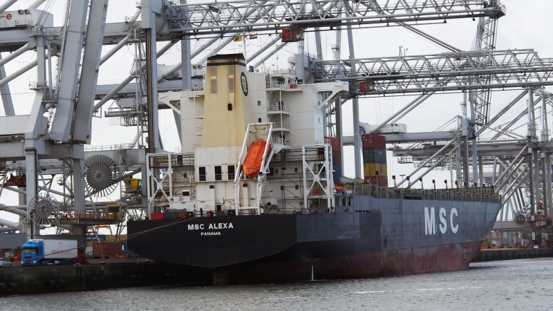 MSC   ALEXA