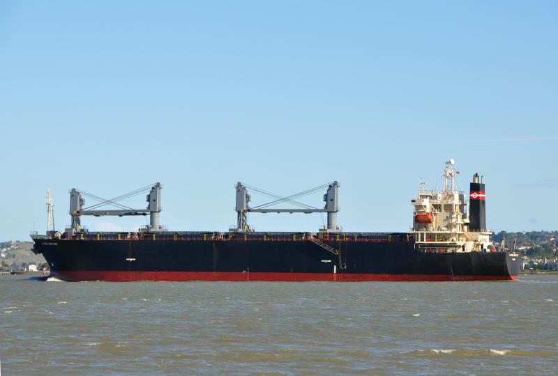 RUI DA 19