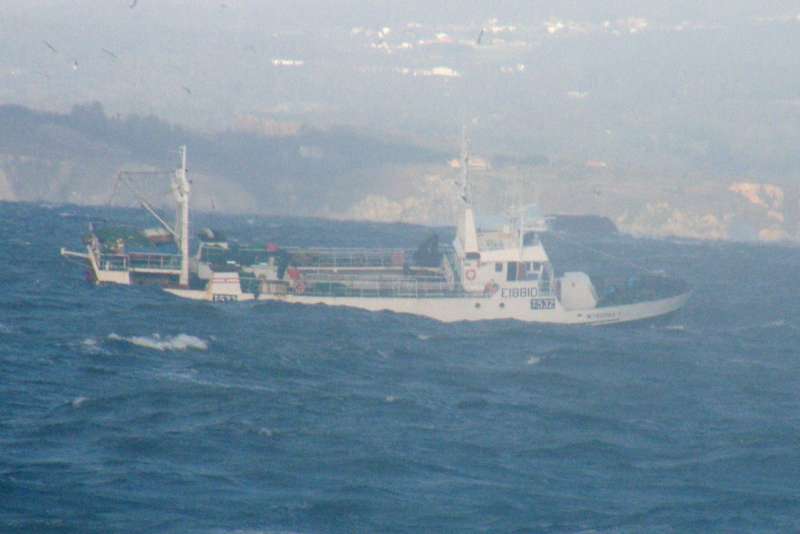 MYRDOMA F
