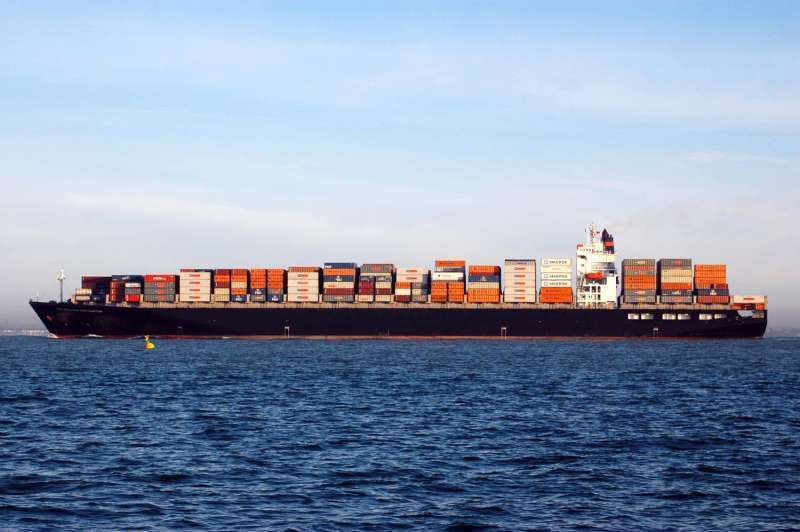 MSC GIOVANNA VII