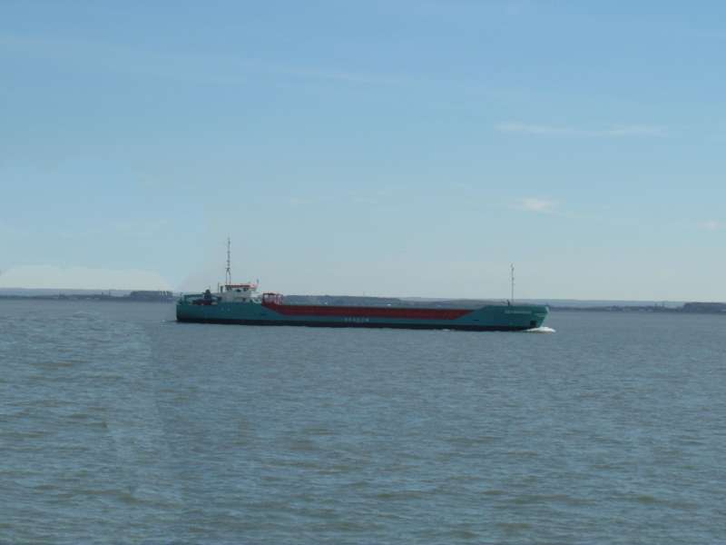 SEA SHANNON