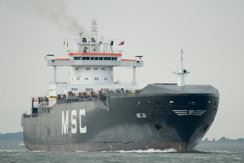 Image of MSC LEA II