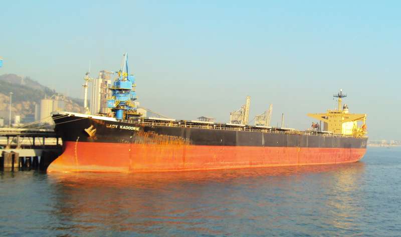 LADY CEDROS