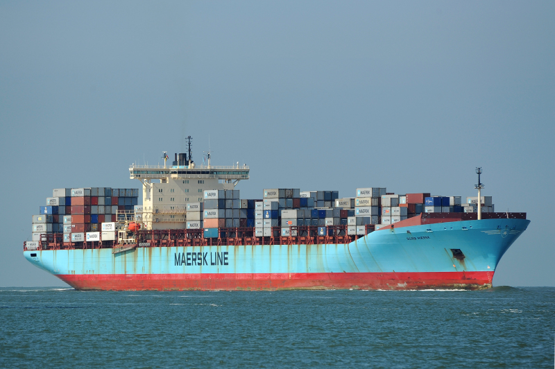 MSC ELLEN