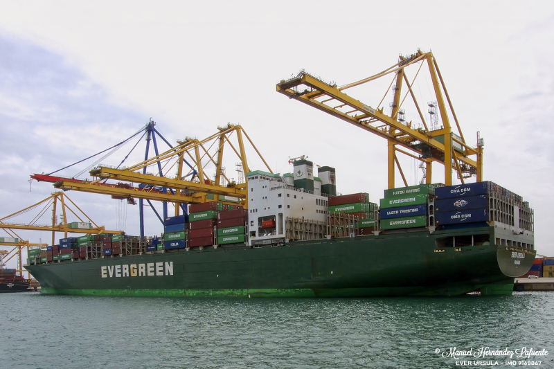 MSC URSULA VI