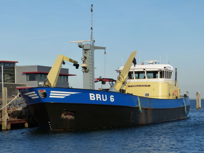 BRU-36 JOHANNES COR