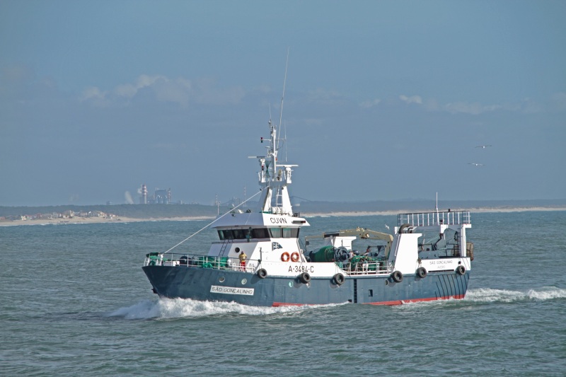 SAO GONCALINHO
