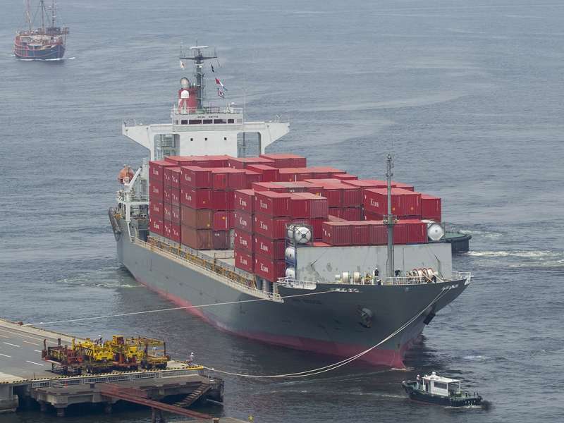 BERRY Container / Feeder 2