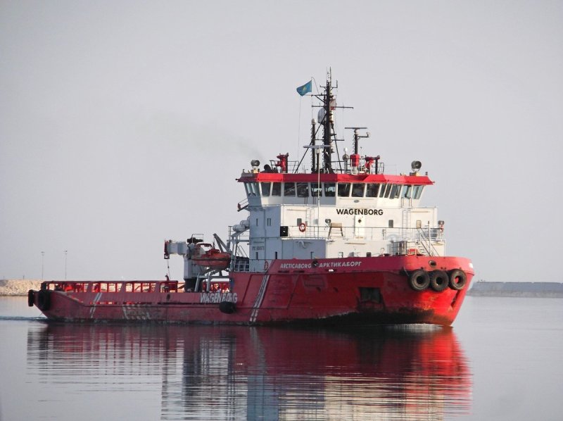 ARCTICABORG