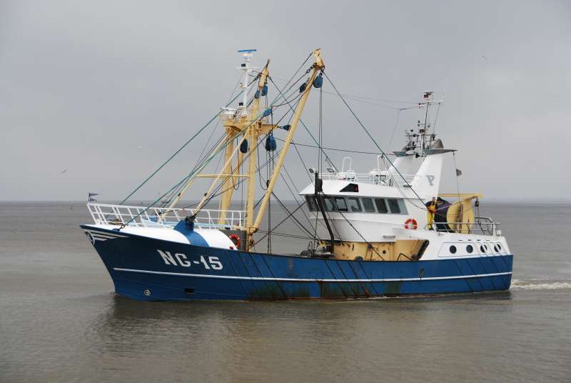 ALBIE_OF_LADRAMBM181
