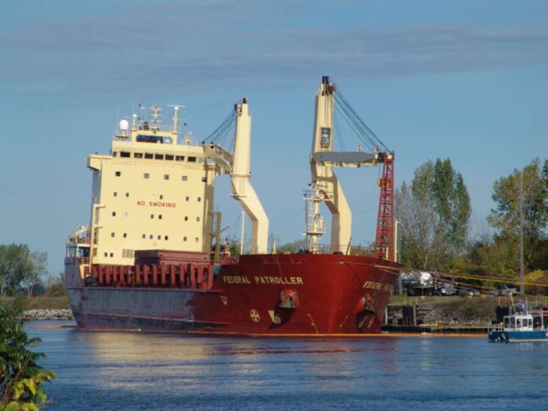 MSC EAGLE F