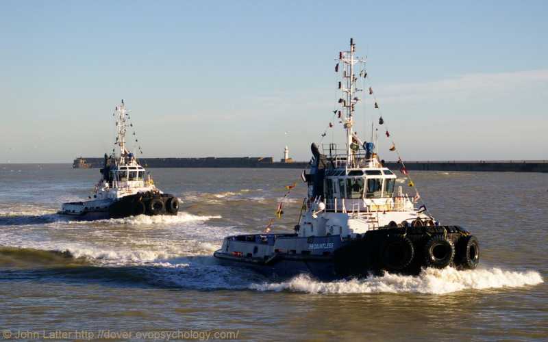 DHB DAUNTLESS