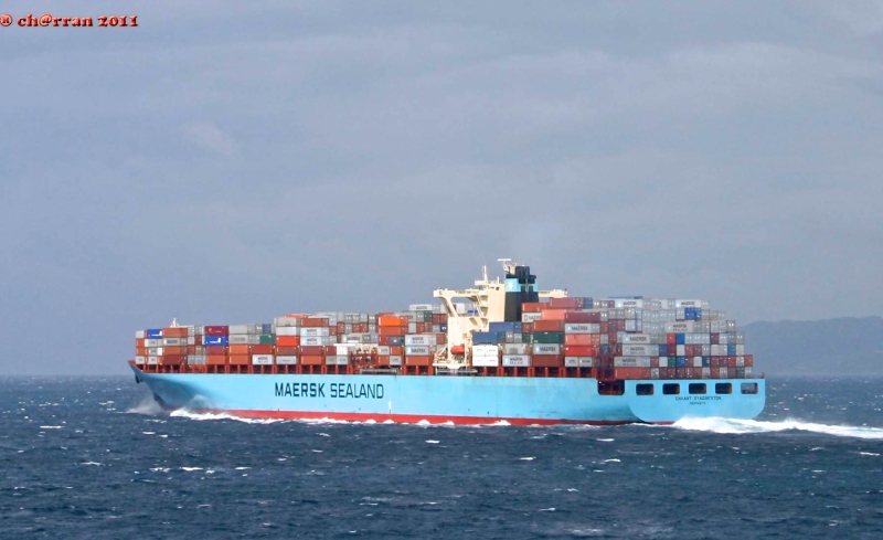 MSC ALMA VII