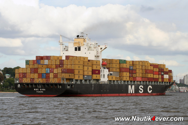 MSC GINA