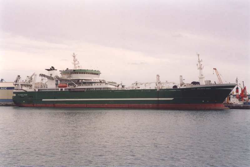 ANNELIES ILENA