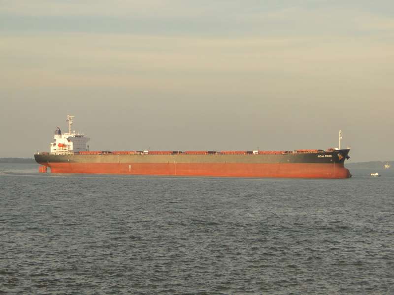 HONG BO 3