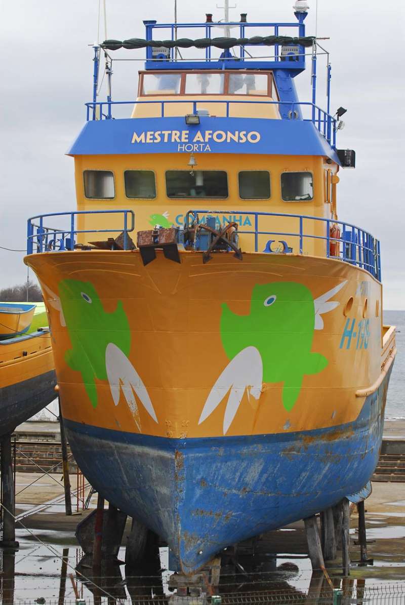 MESTRE AFONSO