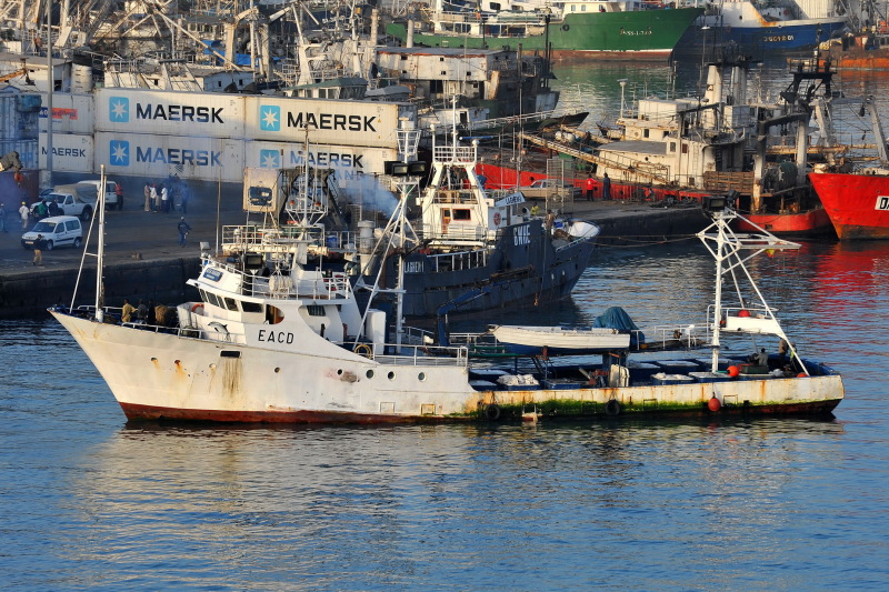 MIMOUNA-1