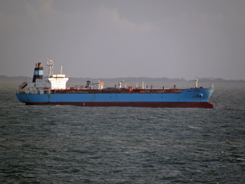 BULL SUMBAWA