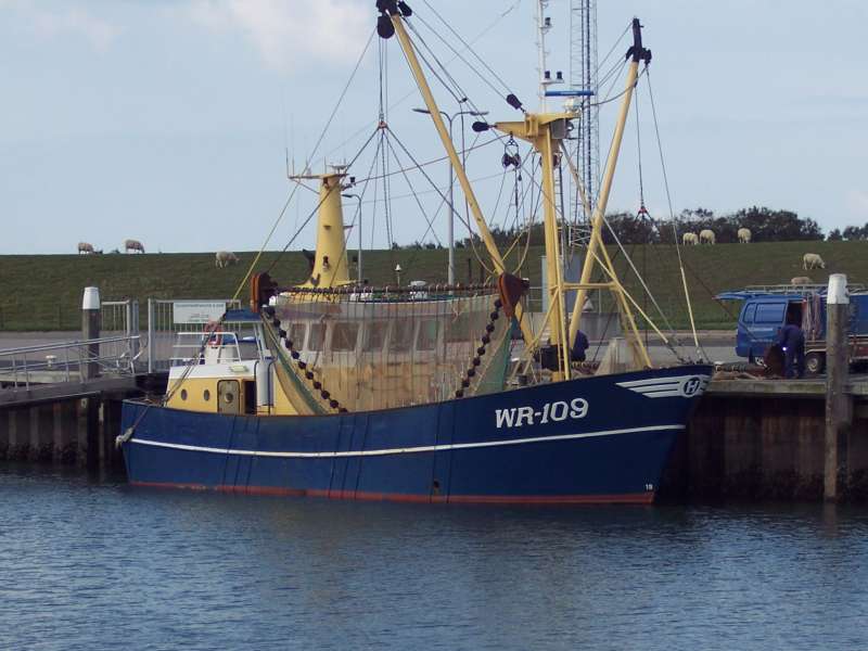 Image of WR109BOUKJEELISABETH