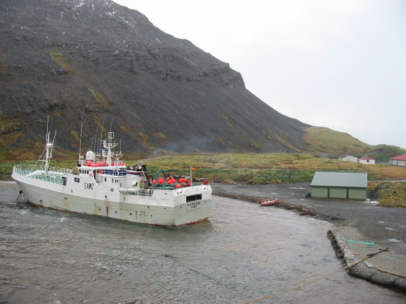 VIKING BAY