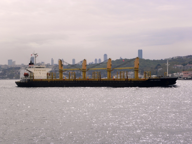 NEW LIBERTY