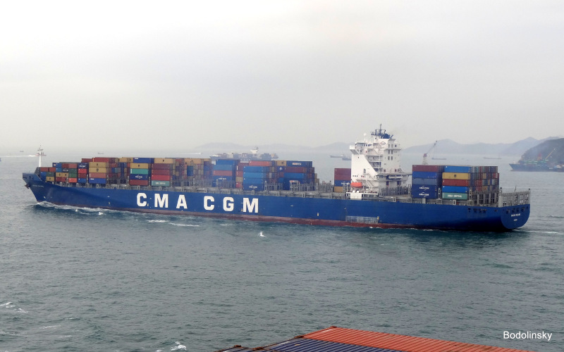 MSC KERRY VII