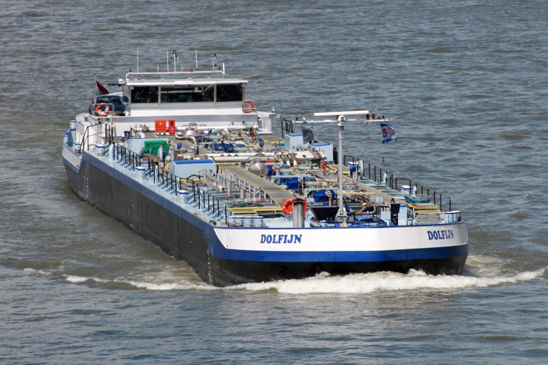 DOLFIJN