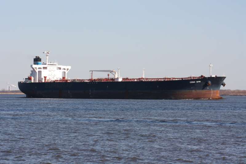 BULL KALIMANTAN