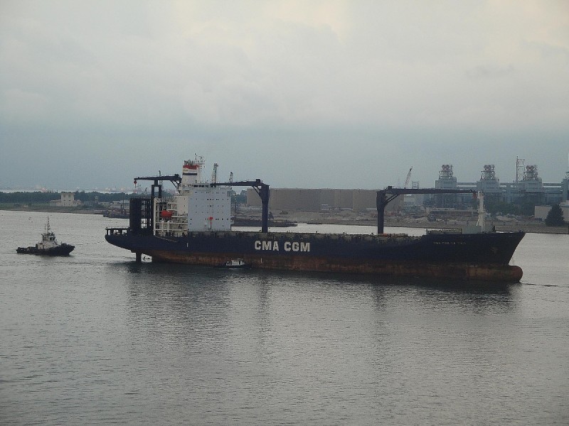 MSC IDA II